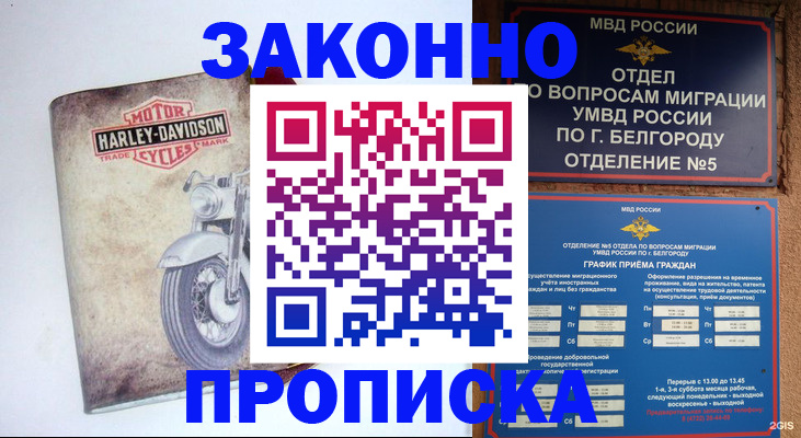 прописка для школы в Казани